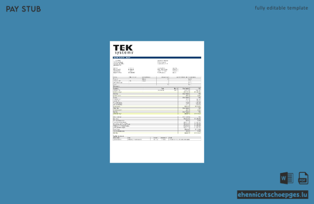 TEKsystems Gehaltsabrechnungsbeispiel – Vorschau